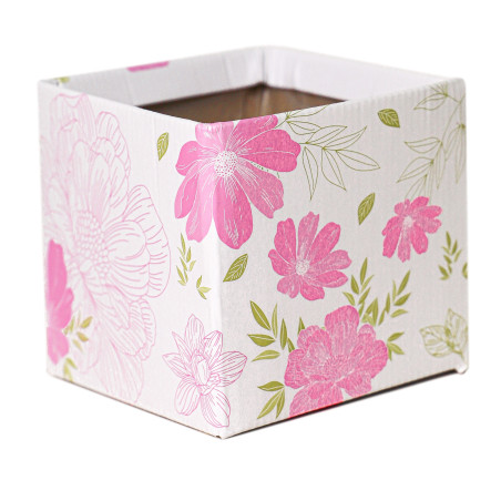 Paquet boites simply carton - Emballage - Grossiste