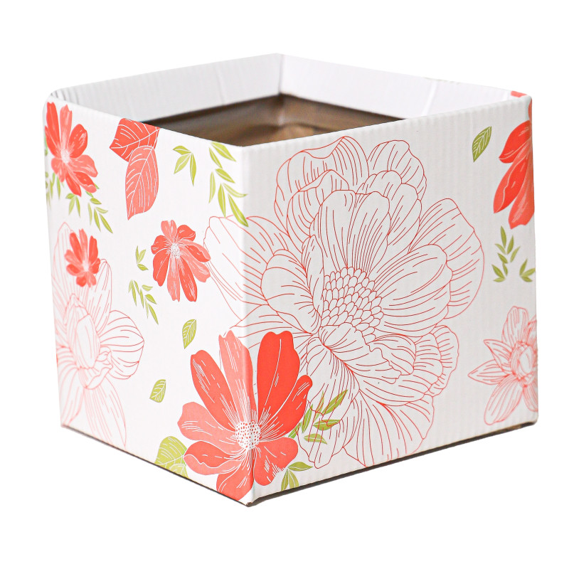 Paquet boites simply carton - Emballage - Grossiste
