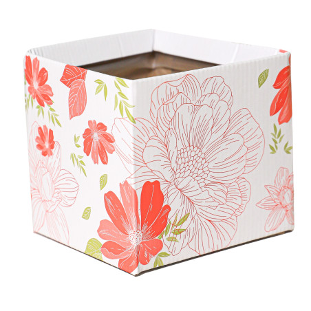Paquet boites simply carton - Emballage - Grossiste