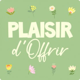 Rouleau de 500 étiquettes adhésives "plaisir d'offrir" - Tacoma - Grossiste