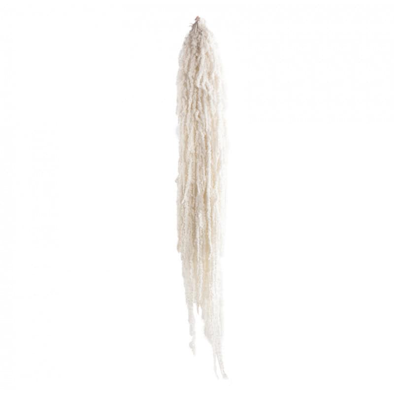 Amaranthe stabilisée 40cm blanche - Yonkers Amaranthe stabilisée 40cm blanche - Yonkers