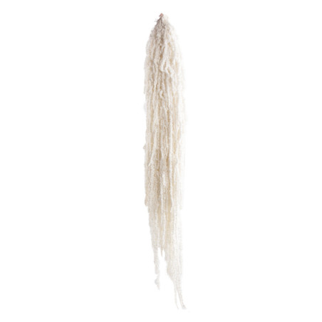 Amaranthe stabilisée 40cm blanche - Yonkers