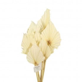 Bouquet de 10 feuilles de palmier 2 couleurs - Caryota - Secs - Grossiste