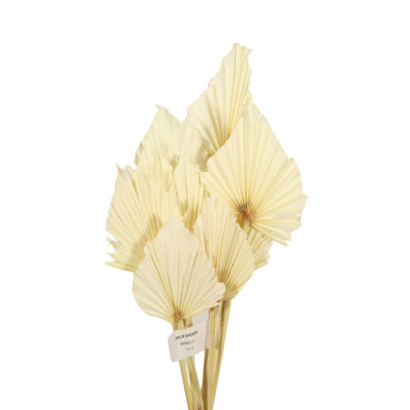 Bouquet de 10 feuilles de palmier 2 couleurs - Caryota - Secs - Grossiste