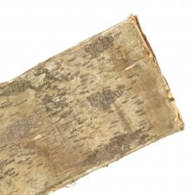 Paquet de 5 écorces de bouleaux - BirchBark - Secs - Grossiste