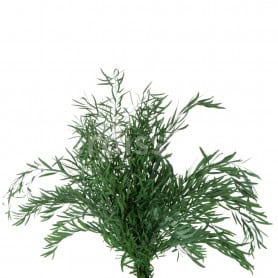 Nicoly artificielle grossiste fleuriste
