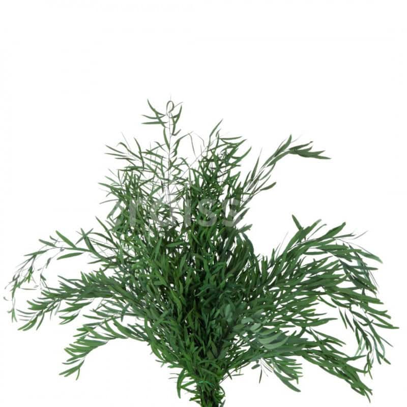 Nicoly artificielle grossiste fleuriste