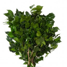 Hedera Arborea artificiel grossiste fleuriste