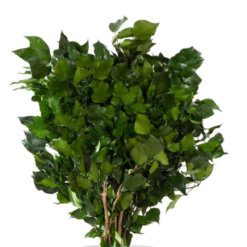 Hedera Arborea artificiel grossiste fleuriste