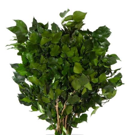 Hedera Arborea artificiel grossiste fleuriste