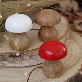 Boite de 30 champignons en bois (assortiment 3 couleurs) - Toad - Décoration - Grossiste