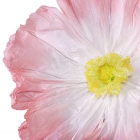 Fleur géante en papier 2 tailles - Floraison - Décoration - Grossiste