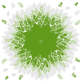 Rame de 100 polypro 40µ 80x80cm 2 couleurs - Mélodie - Emballage - Grossiste