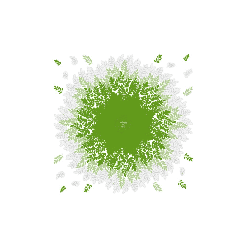 Rame de 100 polypro 40µ 80x80cm 2 couleurs - Mélodie - Emballage - Grossiste