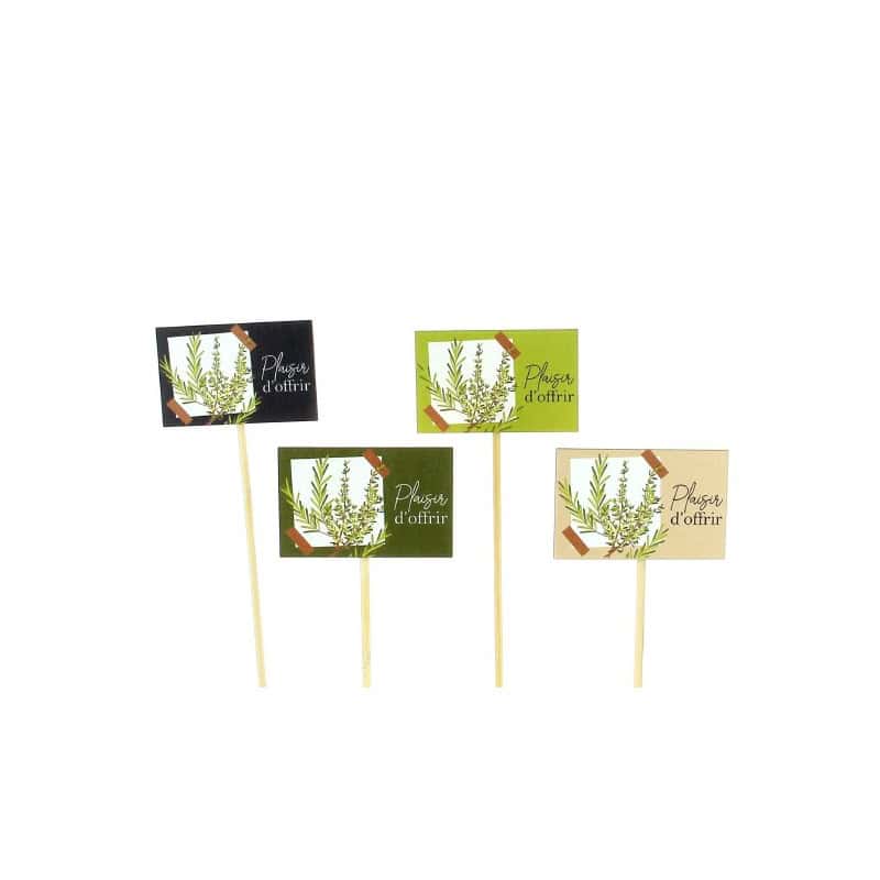 Paquet de 12 piques "plaisir d'offrir" (assortiment 4 couleurs) - Romarin - Fournitures fleuristes