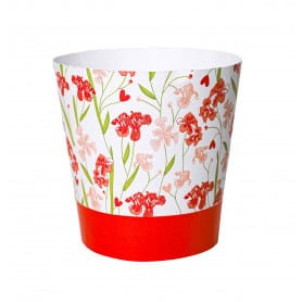 Paquet de 25 cache-pots eureka en carton - Mummy - Contenants - Grossiste fleuriste