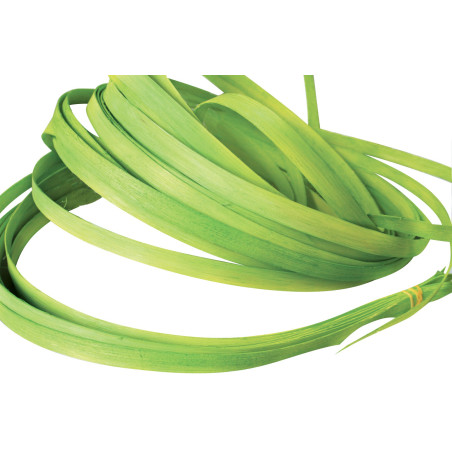 Osier plat
