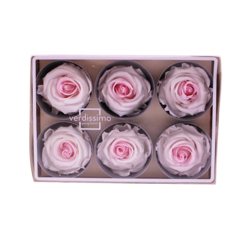 Boite de 6 Têtes de rose Garden - roses éternelles stabilisées