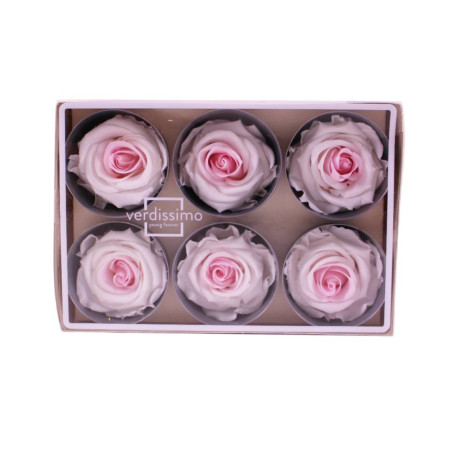 Boite de 6 Têtes de rose Garden - roses éternelles stabilisées