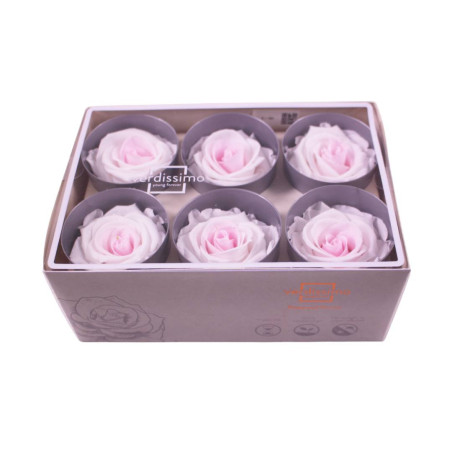 Boite de 6 Têtes de rose Garden - roses éternelles stabilisées