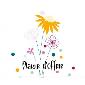 Paquet de 12 cartes perforées "plaisir d'offrir" - Columbus - Grossiste carterie