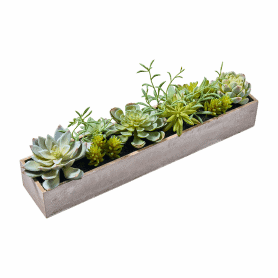 Jardinière de succulentes artificielles - Compo - Grossiste plantes artificielles