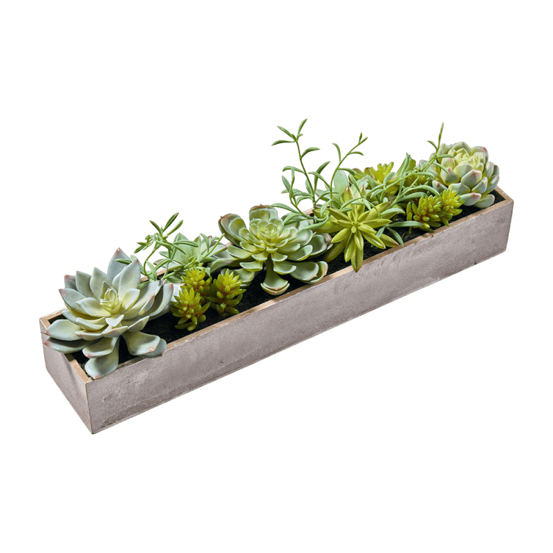 Jardinière de succulentes artificielles - Compo - Grossiste plantes artificielles