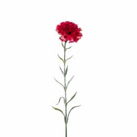 Œillet rouge 67cm - Dianthus - Grossiste fleurs artificielles