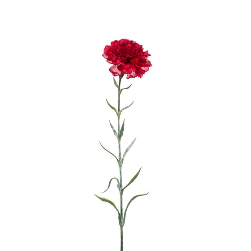 Œillet rouge 67cm - Dianthus - Grossiste fleurs artificielles Œillet rouge 67cm - Dianthus - Grossiste fleurs artificielles