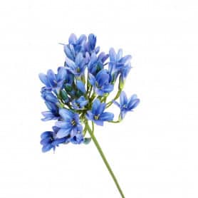 Agapanthe artificielles bleue H. 75cm