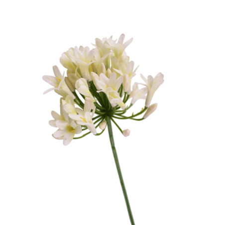 Agapanthe artificielles blanche H. 75cm