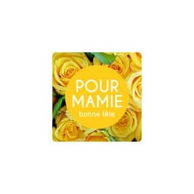 Rouleau de 500 étiquettes carrées adhésives - Miama - Grossiste emballage