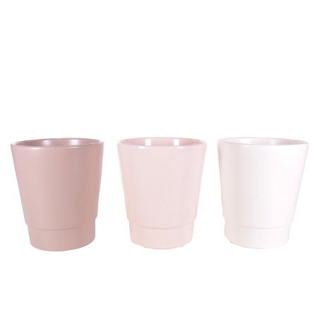 Pots phalaeno Alessos - plusieurs couleurs - grossiste fleuriste