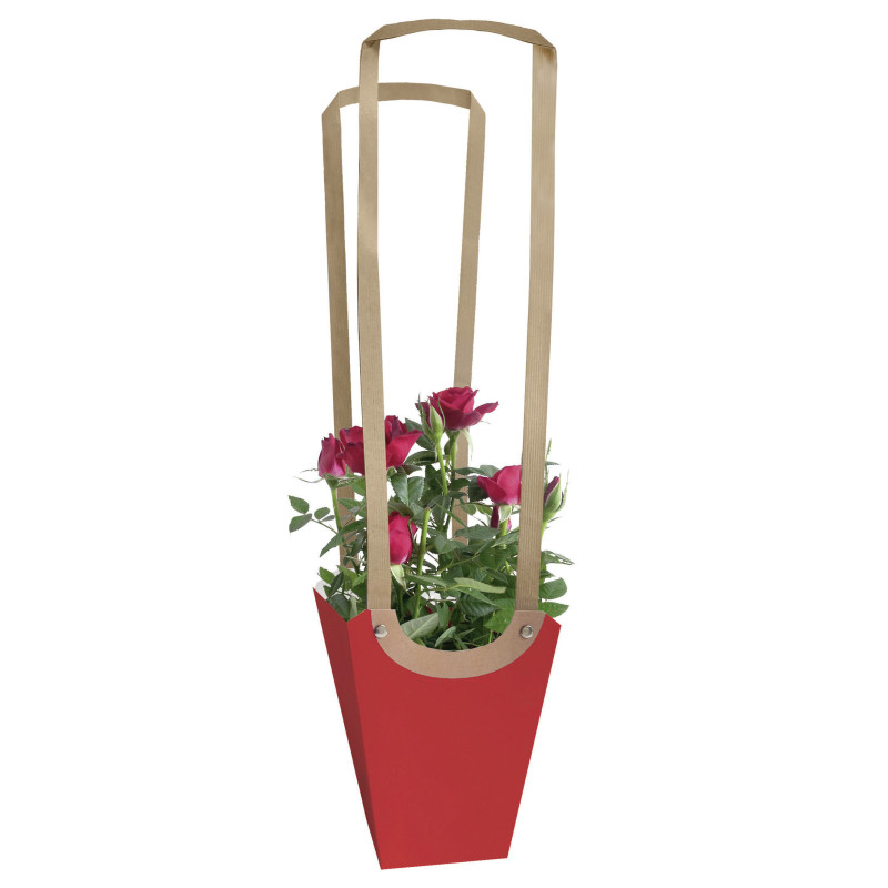 Sac Aqua medium emballage kraft - Grossiste emballage