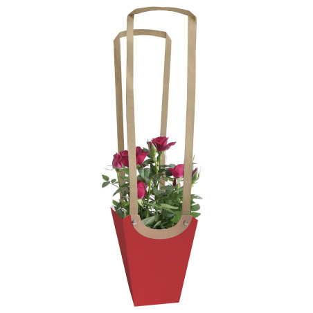 Sac Aqua medium emballage kraft - Grossiste emballage
