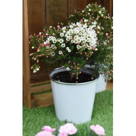 Cache-pot rond en zinc blanc 3 tailles - Alliances - Contenants - Grossiste
