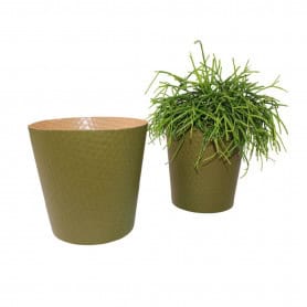 Paquet de 25 cache-pots en carton kaki 2 tailles - Eureka - Grossiste contenants écologiques