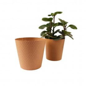 Paquet de 25 cache-pots en carton naturel 2 tailles - Eureka - Grossiste contenants écologiques