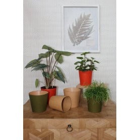Paquet de 25 cache-pots en carton kaki 2 tailles - Eureka - Grossiste contenants écologiques