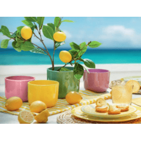 Cache-pot vert - Capri - Contenants - Grossiste