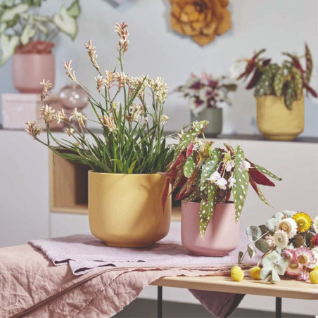 Cache-pot en céramique - Grossiste fleuriste - Fournisseur pot de fleur