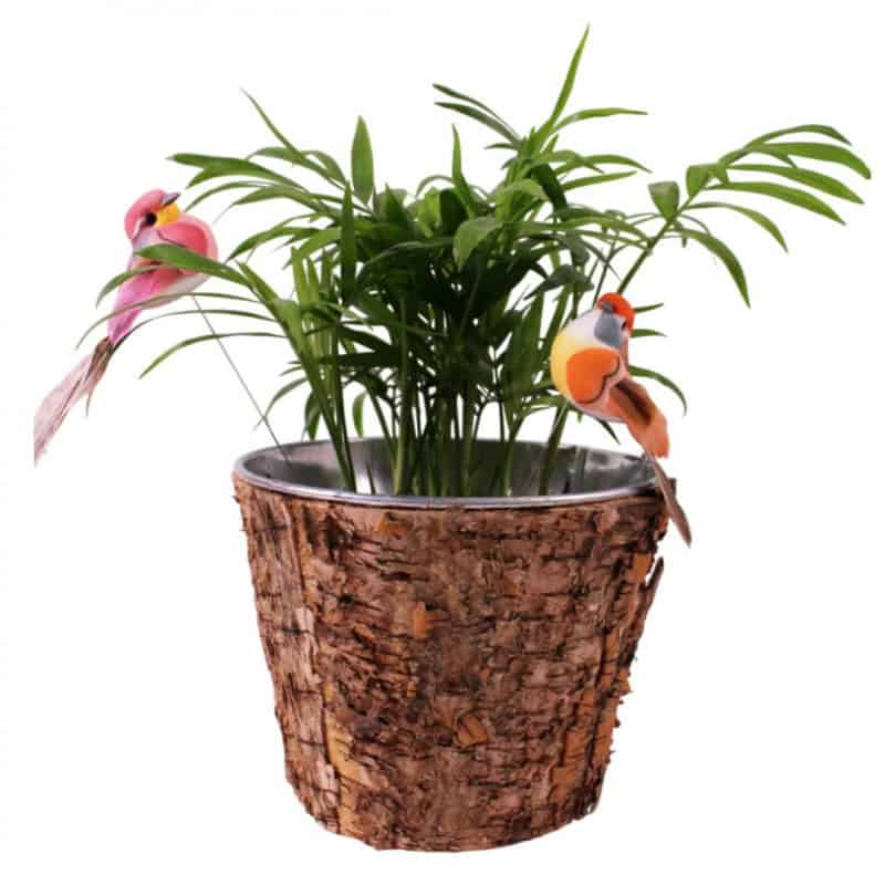 12 oiseaux sur pic Visua - Matériel pour fleuriste et décoration 12 oiseaux sur pic Visua - Matériel pour fleuriste et décoration