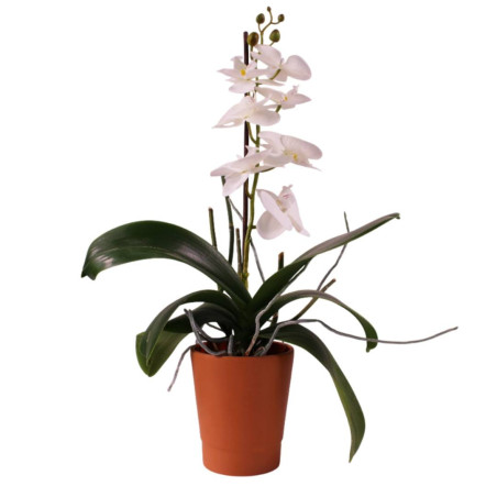 Cache-pot phalaéno D. 13 x H.16cm plusieurs couleurs - Beauty - Contenants - Grossiste