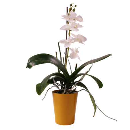 Cache-pot phalaéno D. 13 x H.16cm plusieurs couleurs - Beauty - Contenants - Grossiste