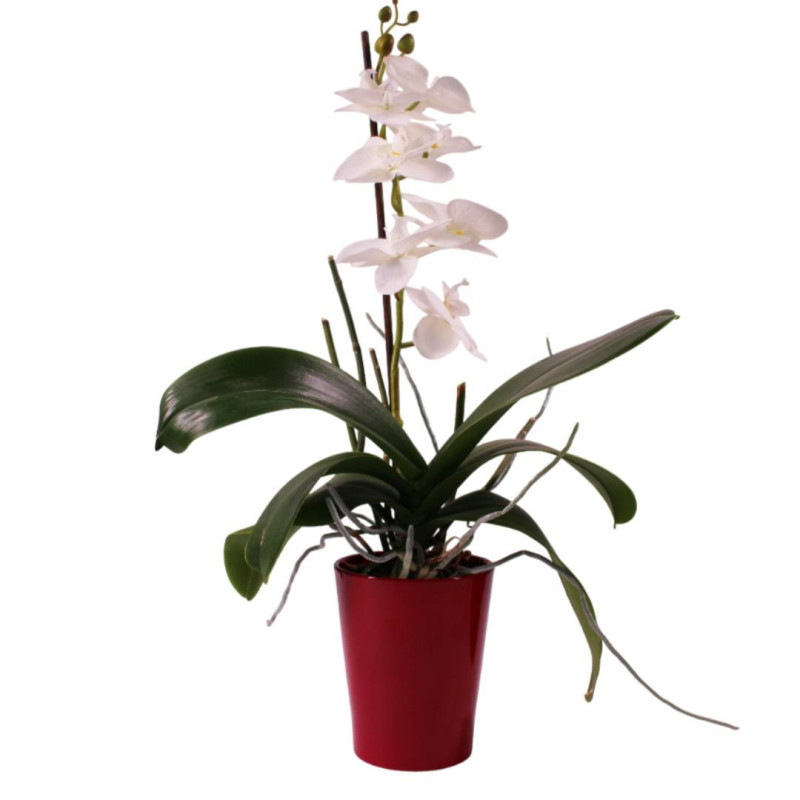 Cache-pot phalaéno D. 13 x H.16cm plusieurs couleurs - Beauty - Contenants - Grossiste