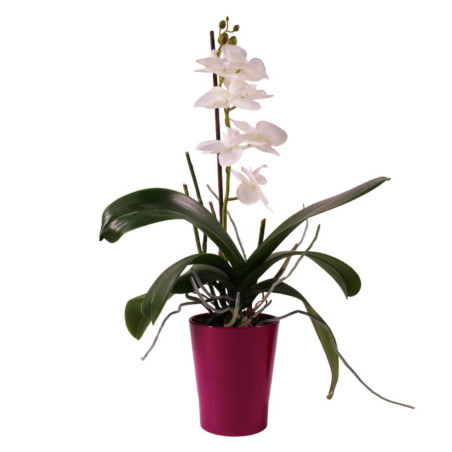 Cache-pot phalaéno D. 13 x H.16cm plusieurs couleurs - Beauty - Contenants - Grossiste