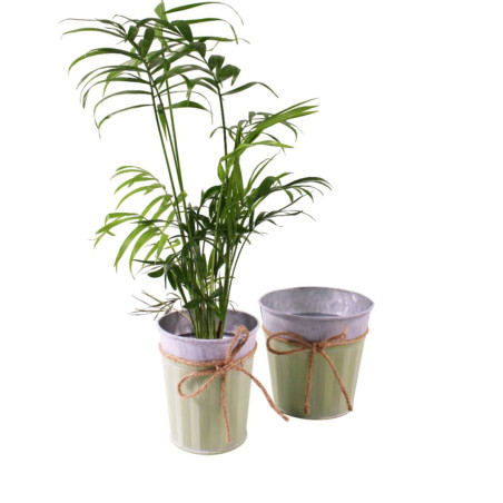 Cache-pot en zinc 2 tailles - Cordinette - Grossiste contenants zinc