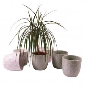 Cache-pot conique D. 12cm (assortiment 6 modèles) - Equateur - Grossiste contenants fleuristes