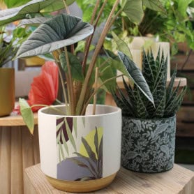 pot en céramique fournisseur pour fleuristes