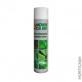Bombe brillant pour feuillage 600ml - Grossiste soin des fleurs et plantes